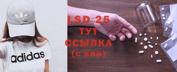 сатива Гусиноозёрск