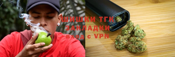 сатива Гусиноозёрск