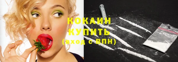 сатива Гусиноозёрск