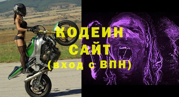 шишки Горняк