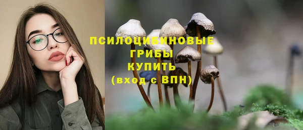 прущая мука Гусь-Хрустальный