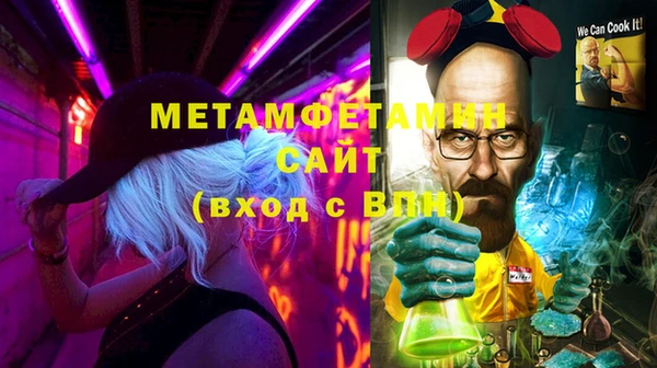 шишки Горняк