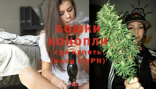 шишки Горняк