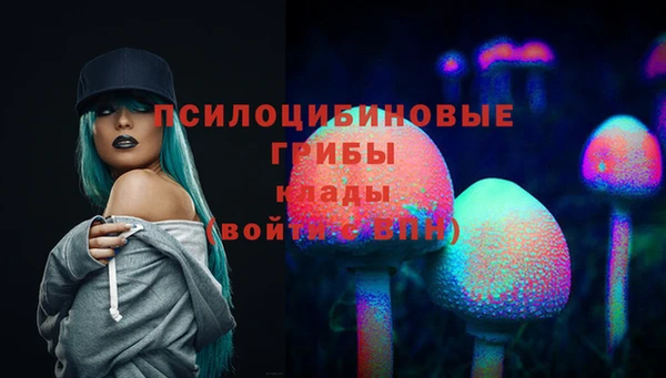 2c-b Гусев