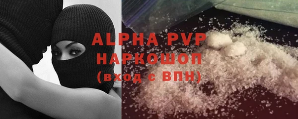 шишки Горняк