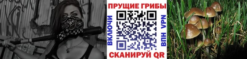 Купить закладки  Нягань  Галлюциногенные грибы Cubensis 