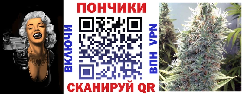 Бошки Шишки план Купить где Нягань